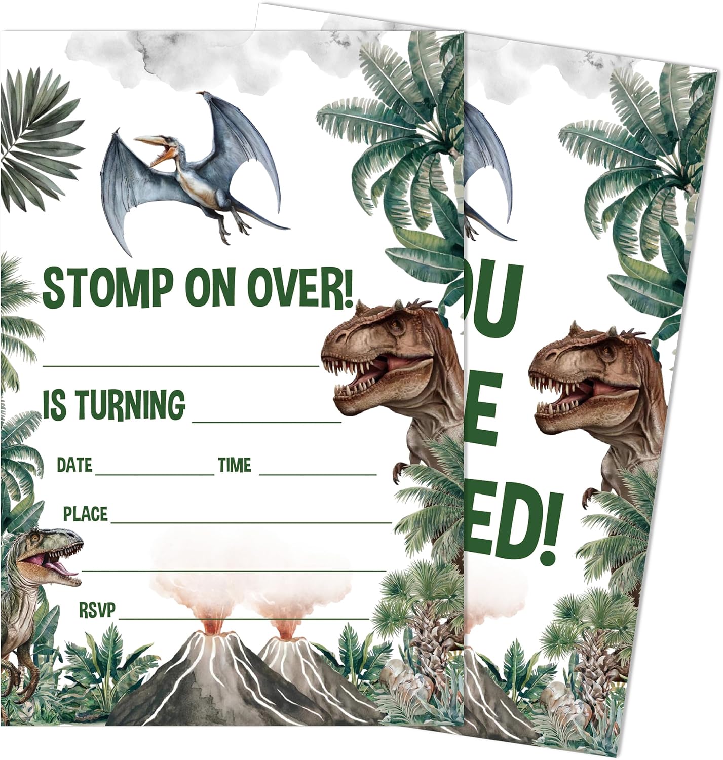 SIXEIGHT Dinosaur Birthday Invitations 20 Pack with Envelopes