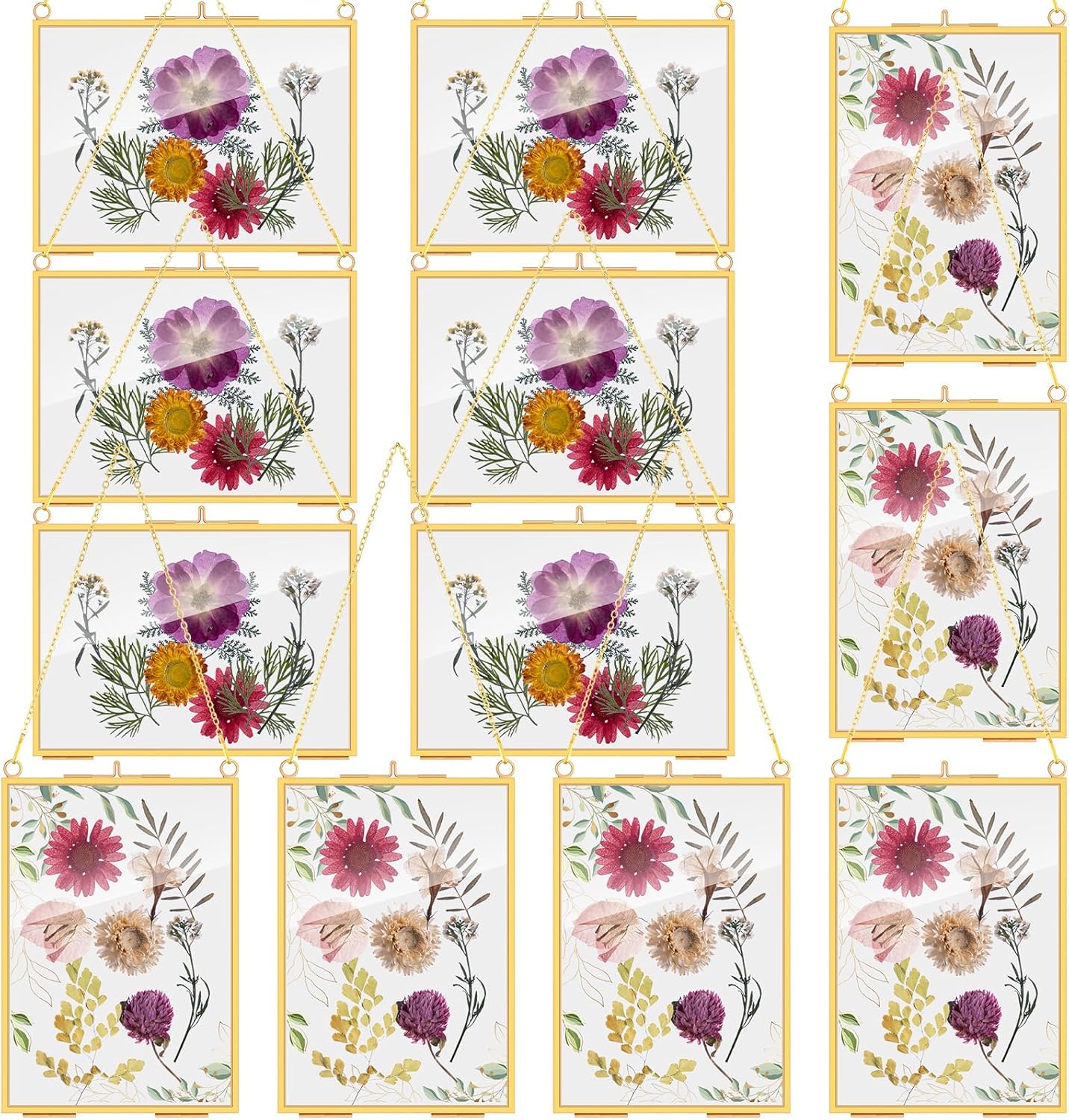 Barydat 12 Pack Pressed Flowers Glass Frames Gold Brass Hanging Display