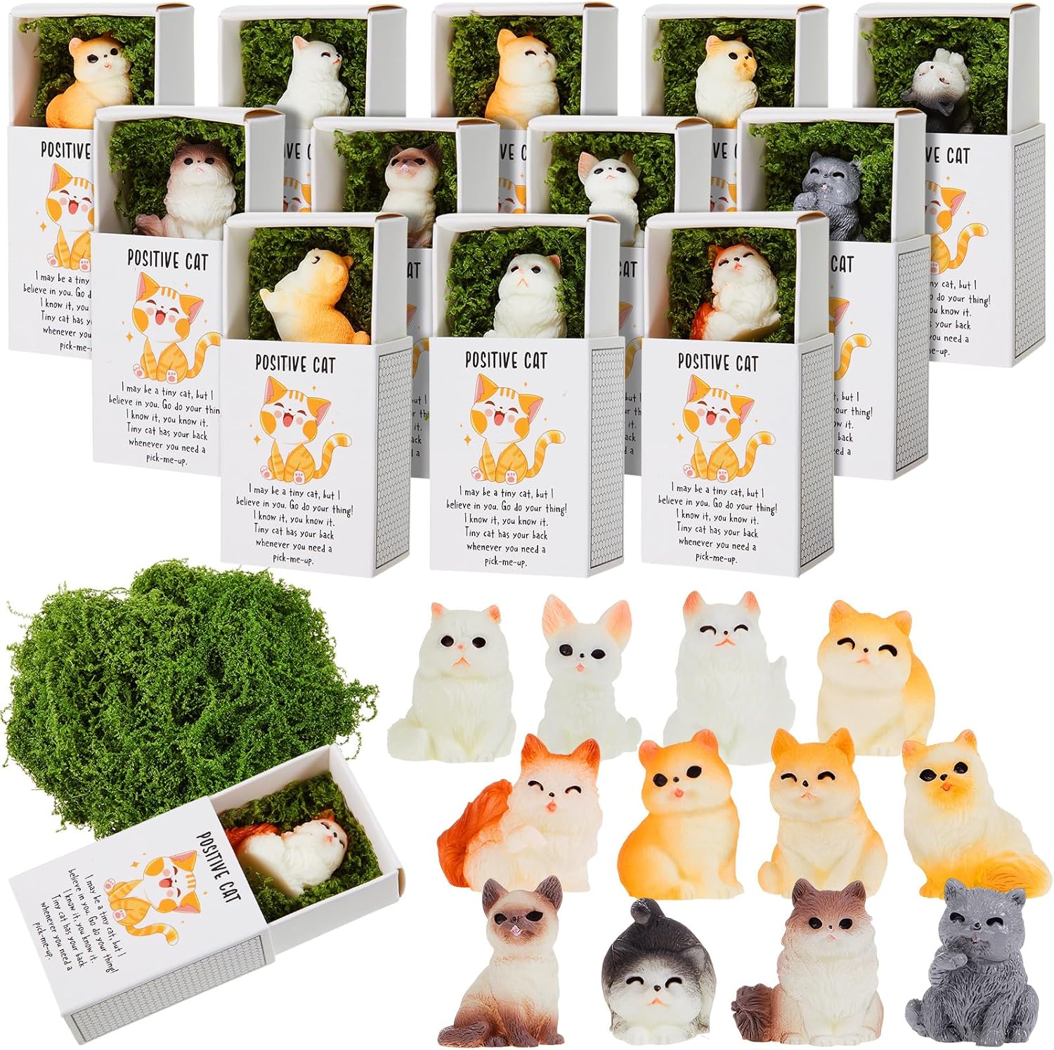 24 Piece Positive Cat Gift Set with Boxes