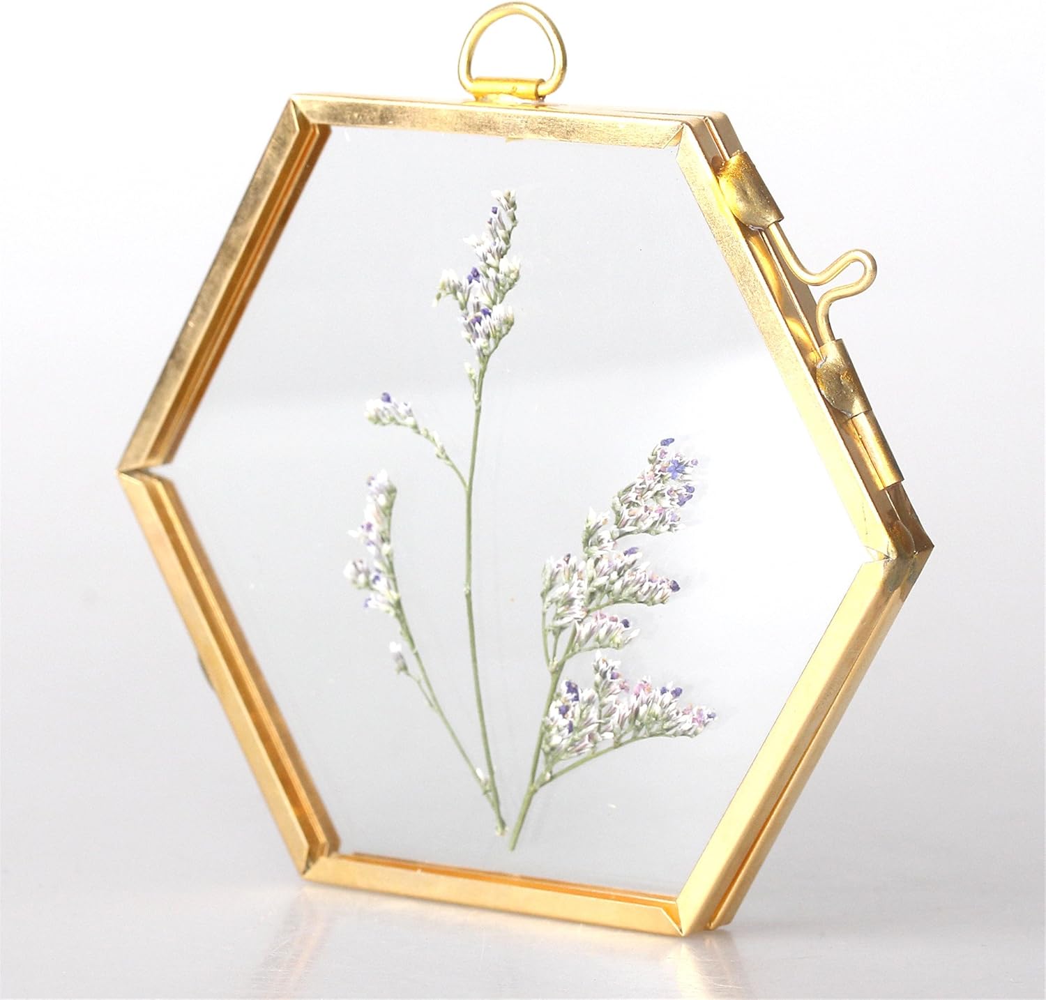 NCYP Mini Glass Floating Frame for Dried Flowers and Photos