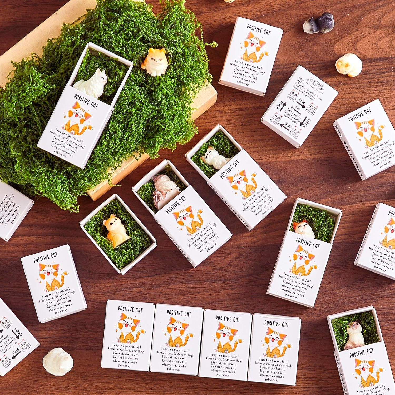 24 Piece Positive Cat Gift Set with Boxes